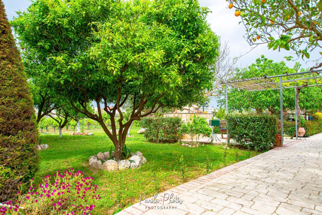 Zante Apts Laganas Exterior photo