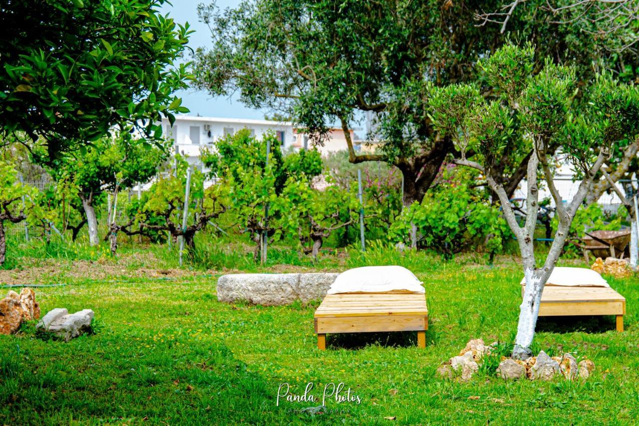 Zante Apts Laganas Exterior photo